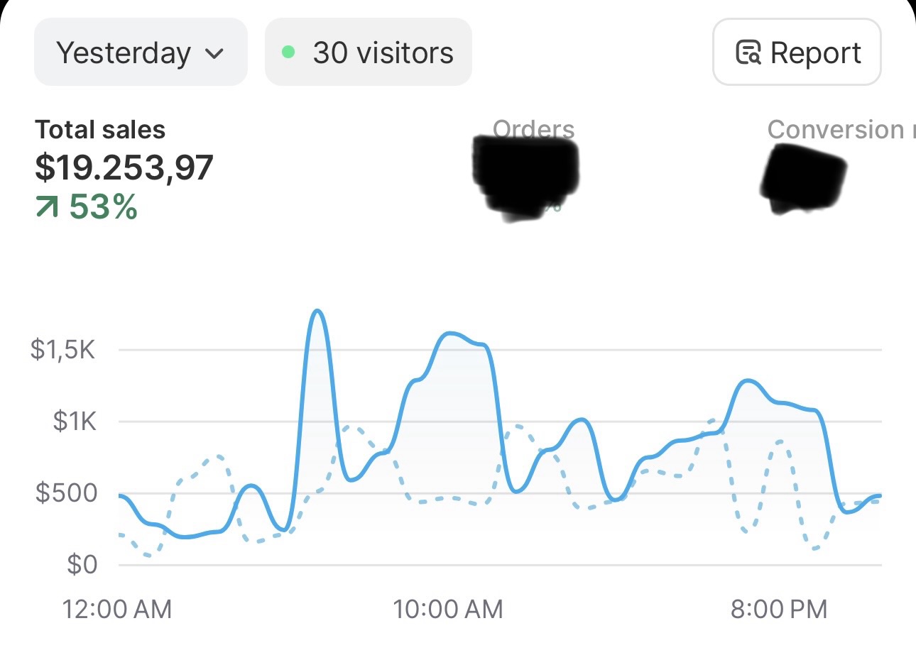 Shopify $19k single day